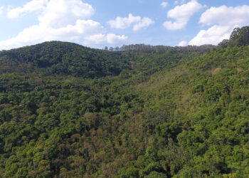 Alcoa Poços de Caldas reabilita 24 hectares de áreas mineradas em 2020