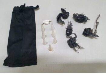 Polícia Militar apreende menor de 17 anos por tráfico de drogas em Mococa