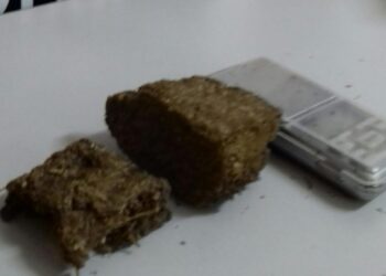 Polícia Civil apreende drogas em São José do Rio Pardo