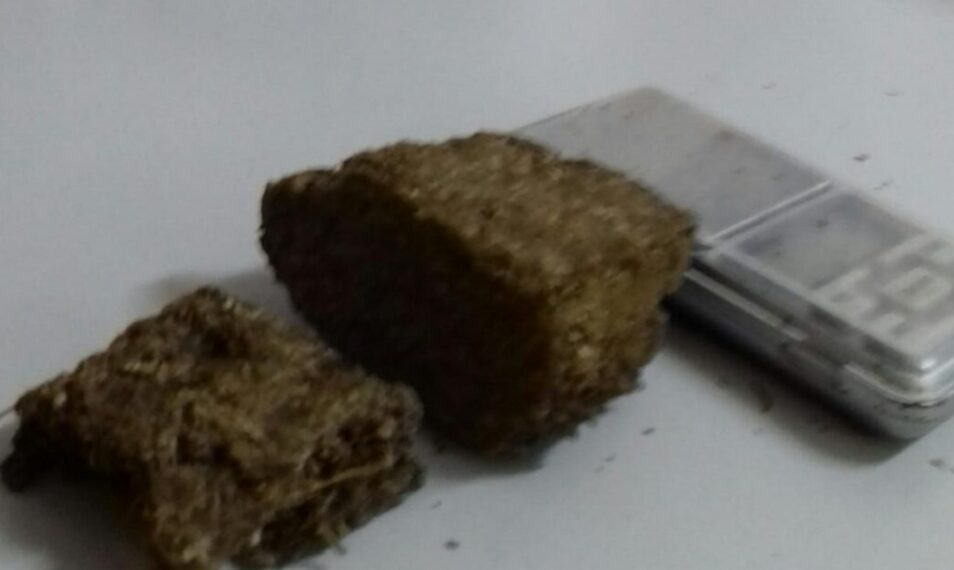 Polícia Civil apreende drogas em São José do Rio Pardo