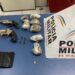 Adolescente é detido com drogas em casa PM apreende duas armas