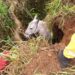 Bombeiros resgatam cavalo em vala em Poços de Caldas