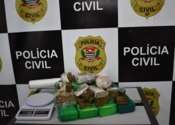 Polícia Civil paulista prende suspeito e apreende 6 kg de maconha