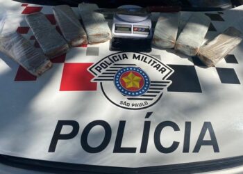 ESPIRITO SANTO DO PINHAL | PM apreende 7 tabletes de maconha