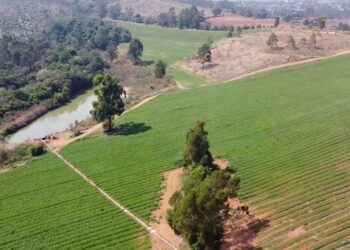 POÇOS DE CALDAS | Produtores rurais são autuados pela polícia por captação irregular de água