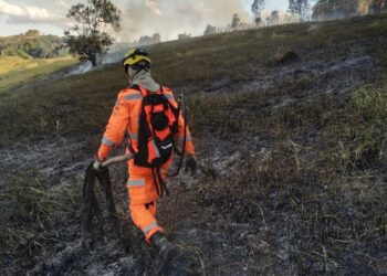 CALDAS| 70 mil metros de vegetação são atingidos por incêndio