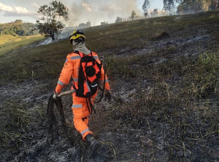 CALDAS| 70 mil metros de vegetação são atingidos por incêndio