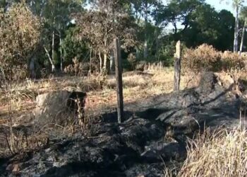 CASA BRANCA | Cidade registra mais de 501 focos de incêndio só neste começo de ano