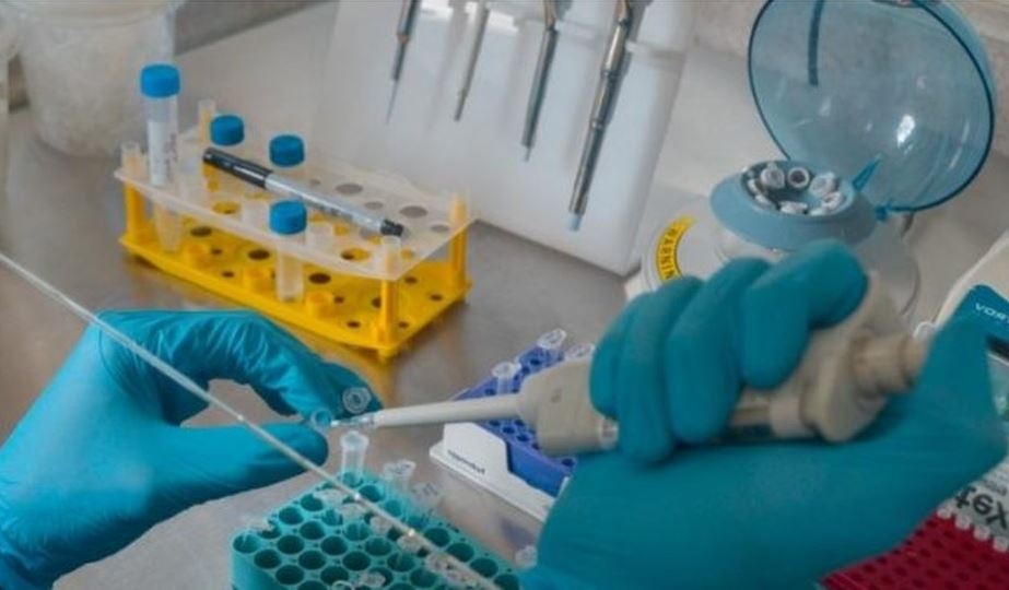 MINAS GERAIS | Exame confirma cepa indiana em paciente internado no estado