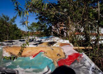 POÇOS DE CALDAS | MIA divulga programação