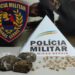 POÇOS DE CALDAS | Homem é preso e três adolescentes detidos por tráfico de drogas