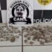 MOGI GUAÇU | Cadela de faro encontra 194 buchas de maconha