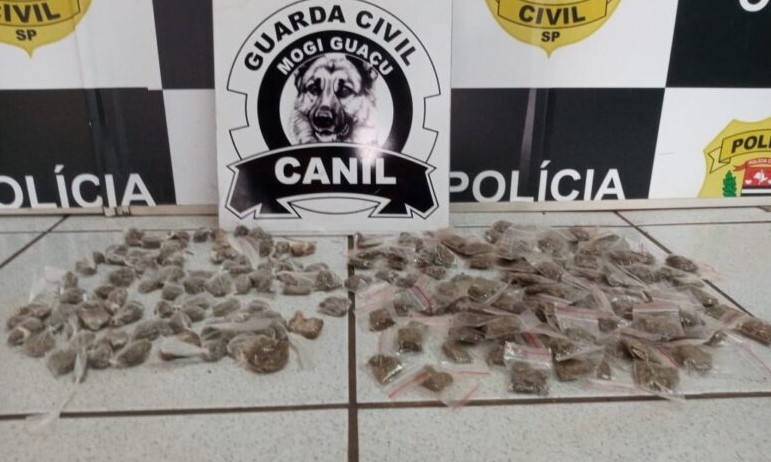 MOGI GUAÇU | Cadela de faro encontra 194 buchas de maconha