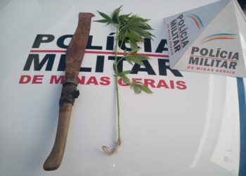 Poços de Caldas | Homem ameaça mulher com facão se a polícia fosse chamada