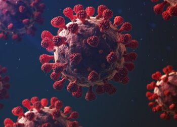 POÇOS DE CALDAS | cidade soma 327 mortes