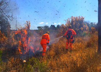 POÇOS DE CALDAS | Incêndio destrói 100 mil m2 de vegetação e coloca em risco a vida de bombeiros