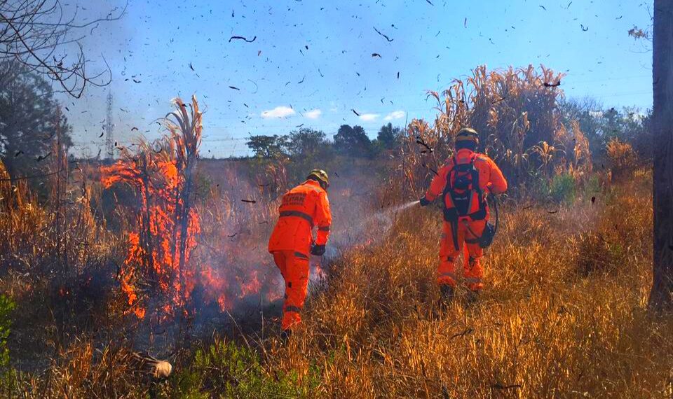 POÇOS DE CALDAS | Incêndio destrói 100 mil m2 de vegetação e coloca em risco a vida de bombeiros