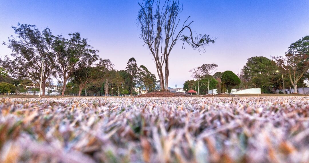 MAIS FRIO | Alerta de geada para Poços e mais de 180 cidades com temperaturas de até 0ºC