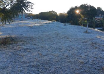 POÇOS DE CALDAS | Moradores registram geada