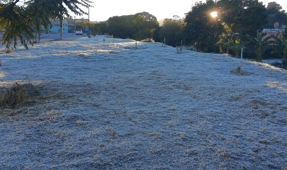 POÇOS DE CALDAS | Moradores registram geada