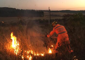 POÇOS DE CALDAS | 8 .300 metros quadrados são atingidos por incêndio