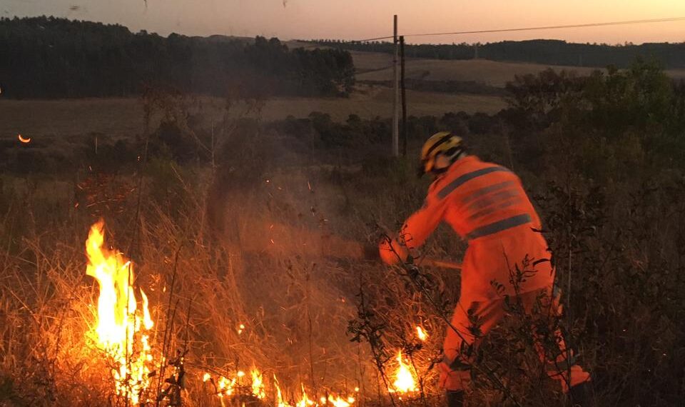POÇOS DE CALDAS | 8 .300 metros quadrados são atingidos por incêndio