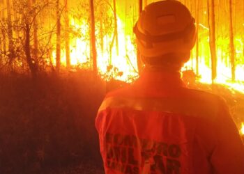 POÇOS DE CALDAS | Incêndio atinge 20.000 metros de área de plantação