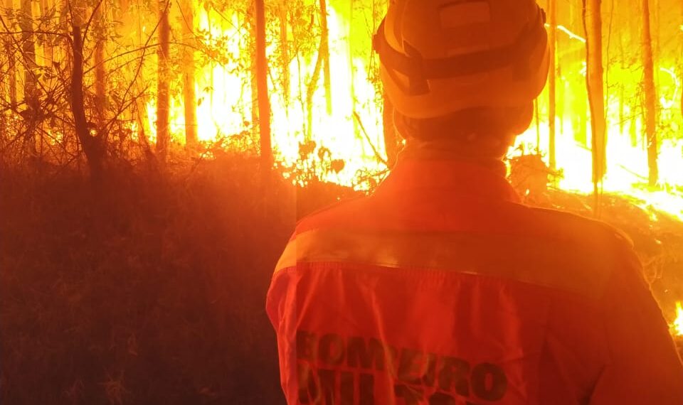 POÇOS DE CALDAS | Incêndio atinge 20.000 metros de área de plantação