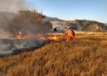 POÇOS DE CALDAS | 24 hectares são atingidos por incêndio