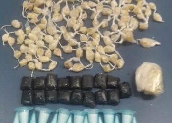 POÇOS DE CALDAS | Quatro são detidos suspeitos de tráfico de drogas