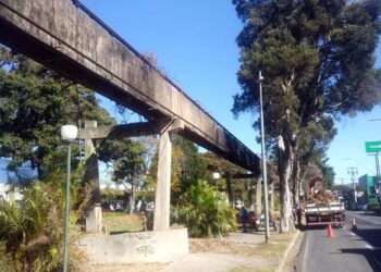 POÇOS DE CALDAS | Prefeitura faz poda e limpeza na Avenida João Pinheiro