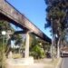 POÇOS DE CALDAS | Prefeitura faz poda e limpeza na Avenida João Pinheiro