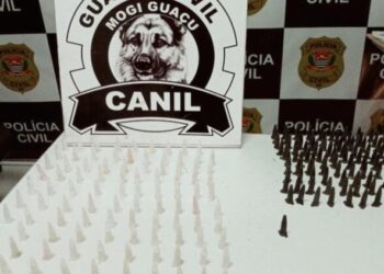 MOGI GUAÇU | 200 pinos de cocaína são apreendidos com apoio da cadela de faro Babi