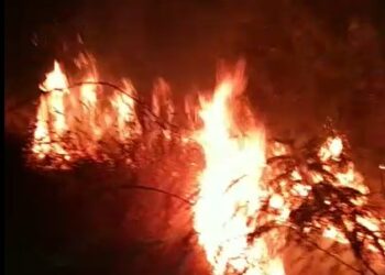 POÇOS DE CALDAS | 16.000 metros de vegetação são atingidos por incêndio