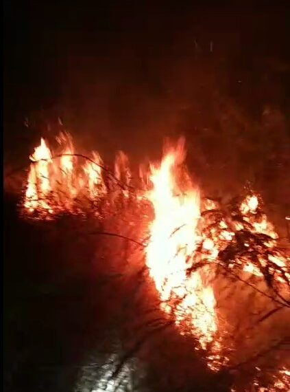 POÇOS DE CALDAS | 16.000 metros de vegetação são atingidos por incêndio