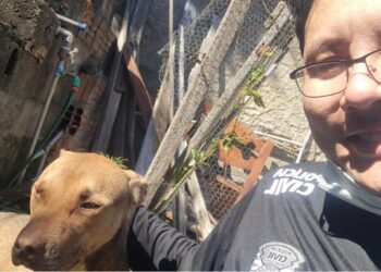 POÇOS DE CALDAS | Polícia Civil resgata cadela abandonada há mais de um mês em imóvel