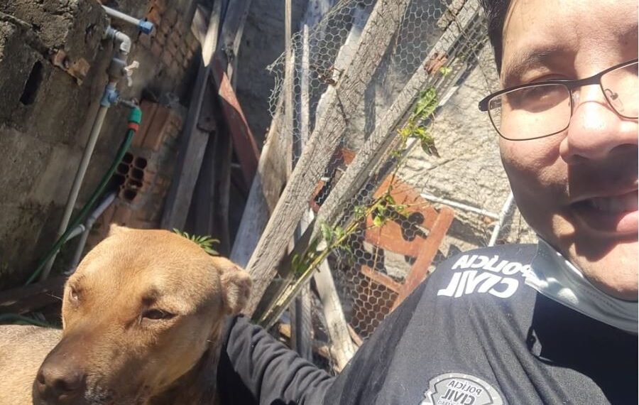 POÇOS DE CALDAS | Polícia Civil resgata cadela abandonada há mais de um mês em imóvel