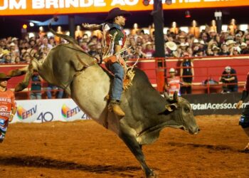 BARRETOS | Festão do Peão será virtual com montaria e shows