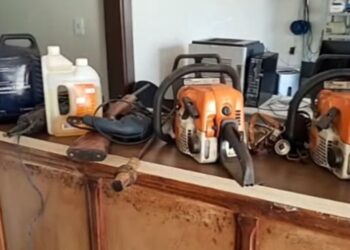 Polícia prende integrantes de quadrilha especializada em roubo de gado