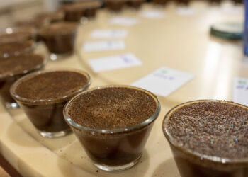 POÇOS DE CALDAS | Inscrições para Concurso Qualidade dos Cafés seguem até 30 de agosto