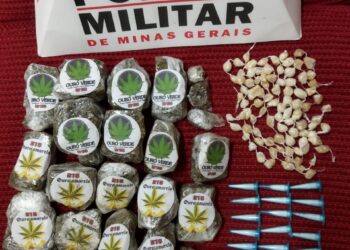 POÇOS DE CALDAS | Adolescente é apreendida suspeita de tráfico de drogas