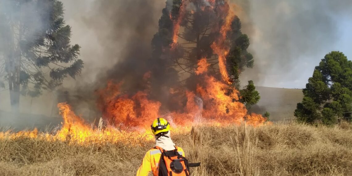 POÇOS DE CALDAS | 75 hectares são atingidos por incêndio
