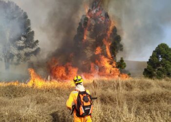 POÇOS DE CALDAS | 75 hectares são atingidos por incêndio