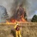 POÇOS DE CALDAS | 75 hectares são atingidos por incêndio