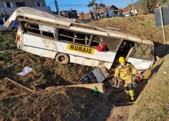 POÇOS DE CALDAS |20 trabalhadores rurais ficam feridos após ônibus perder freio e sair da pista