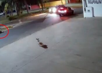 PORTO FERREIRA | Passageiro em moto é arremessado a 15 metros ao colidir em carro durante perseguição