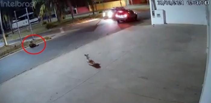 PORTO FERREIRA | Passageiro em moto é arremessado a 15 metros ao colidir em carro durante perseguição