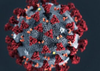 POÇOS DE CALDAS | Três pessoas morrem por Covid, diz boletim desta segunda