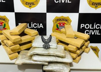 SÃO JOSÉ DO RIO PARDO | Polícia apreende grande quantidade de maconha em sítio