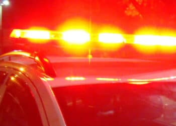 POÇOS DE CALDAS | Homem é preso após cortar testículos de gato